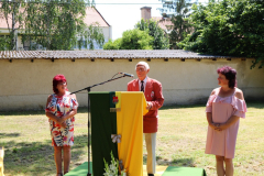 galeria-20230630-szendro-27-143