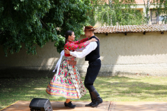 galeria-20230630-szendro-27-163